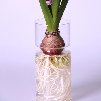 Şeffaf cam sümbül şişe şeffaf çiçek bitki şişe pot DIY süsler ev dekorasyon cam vazo topraksız vazo