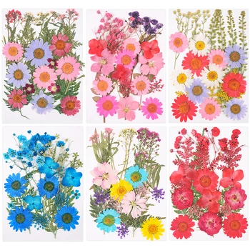 Kurutulmuş Çiçekler Reçine Kalıp Dolgu UV Epoksi Çiçek Tırnak Sanat Preslenmiş Çiçekler Mum Kolye Yapımı El Sanatları DIY Aksesuarları