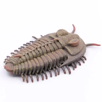 CollectA tarih öncesi hayvanlar okyanus redlichia rex trilobit doğa eğitim modeli pvc plastik figür #88906