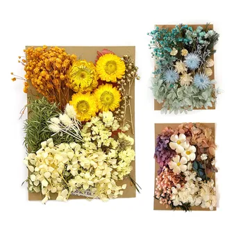 Kurutulmuş Preslenmiş Çiçekler Gerçek Kurutulmuş Çiçek Kuru Bitkiler Aromaterapi Mum Epoksi Reçine Kolye Kolye Takı Yapımı