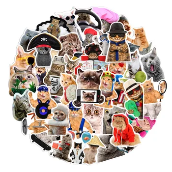10/30/66 Adet Komik Meme Sevimli Kedi Çıkartmalar Kawaii Hayvan Graffiti Çıkartmaları Karalama Defteri Telefon Buzdolabı Sabit laptop etiketi Çocuk Oyuncak